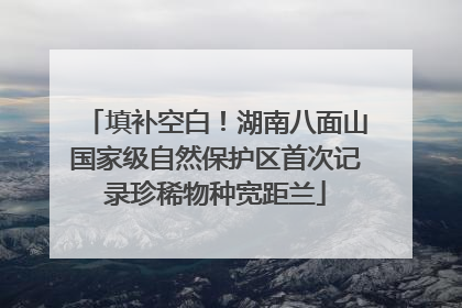 填补空白！湖南八面山国家级自然保护区首次记录珍稀物种宽距兰