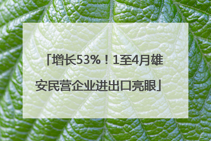 增长53%！1至4月雄安民营企业进出口亮眼