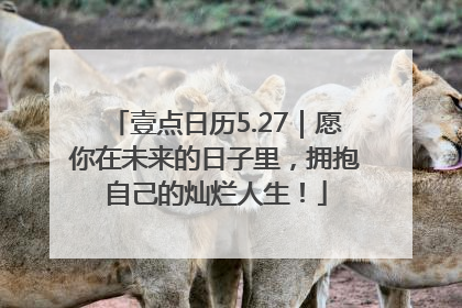 壹点日历5.27｜愿你在未来的日子里，拥抱自己的灿烂人生！