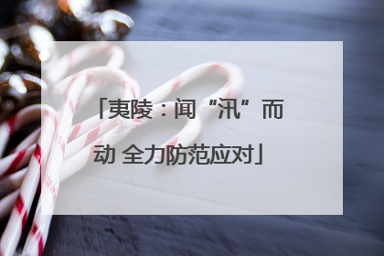 夷陵：闻“汛”而动 全力防范应对