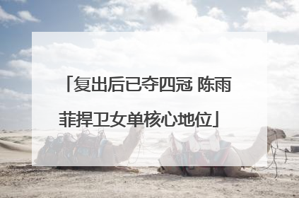 复出后已夺四冠 陈雨菲捍卫女单核心地位