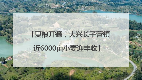 夏粮开镰，大兴长子营镇近6000亩小麦迎丰收