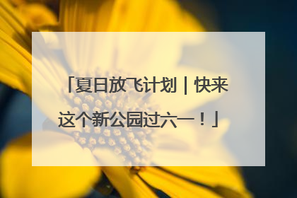 夏日放飞计划｜快来这个新公园过六一！