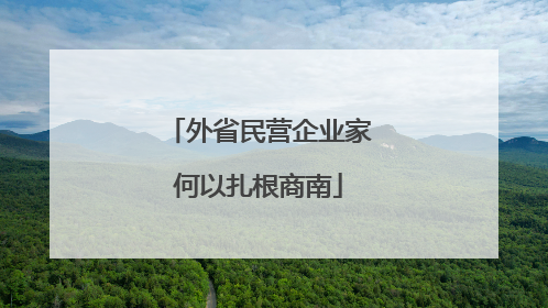 外省民营企业家何以扎根商南