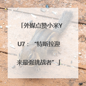 外媒点赞小米YU7：“特斯拉迎来最强挑战者”