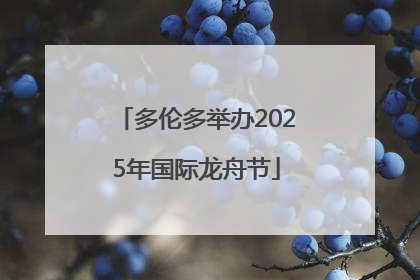多伦多举办2025年国际龙舟节