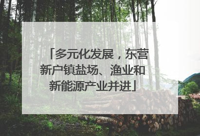 多元化发展，东营新户镇盐场、渔业和新能源产业并进