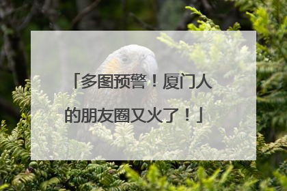 多图预警！厦门人的朋友圈又火了！