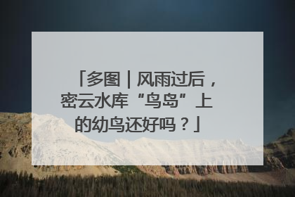 多图｜风雨过后，密云水库“鸟岛”上的幼鸟还好吗？
