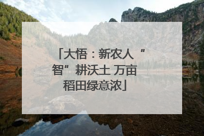 大悟：新农人“智”耕沃土 万亩稻田绿意浓