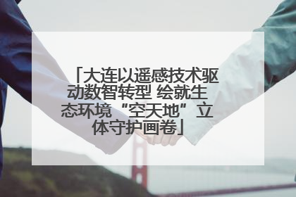 大连以遥感技术驱动数智转型 绘就生态环境“空天地”立体守护画卷