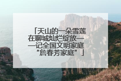 天山的一朵雪莲在聊城灿烂绽放——记全国文明家庭“詹春芳家庭”