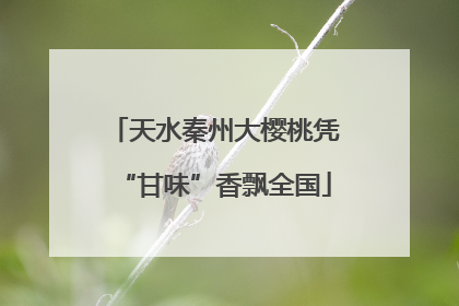 天水秦州大樱桃凭“甘味”香飘全国