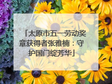 太原市五一劳动奖章获得者张雅楠：守护国门绽芳华