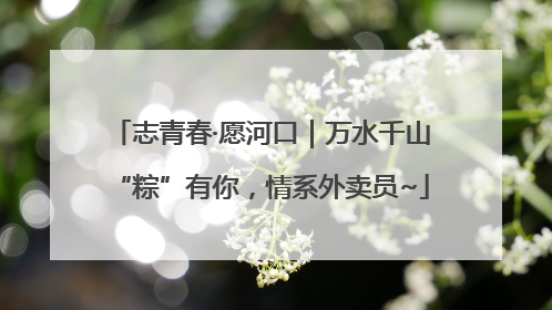 志青春·愿河口｜万水千山“粽”有你，情系外卖员~