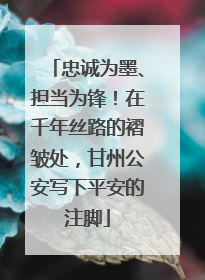 忠诚为墨、担当为锋！在千年丝路的褶皱处，甘州公安写下平安的注脚