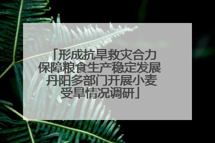 形成抗旱救灾合力 保障粮食生产稳定发展 丹阳多部门开展小麦受旱情况调研