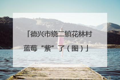 德兴市绕二镇花林村蓝莓“紫”了（图）