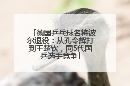 德国乒乓球名将波尔退役：从孔令辉打到王楚钦，同5代国乒选手竞争