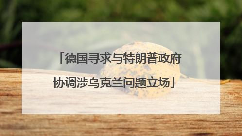 德国寻求与特朗普政府协调涉乌克兰问题立场