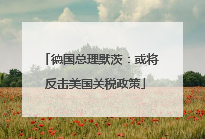 德国总理默茨：或将反击美国关税政策