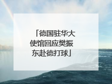 德国驻华大使馆回应樊振东赴德打球