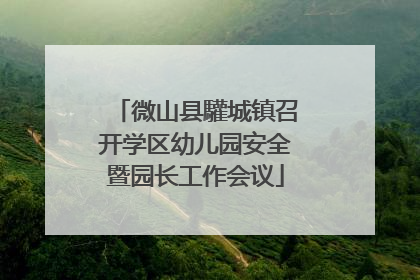 微山县驩城镇召开学区幼儿园安全暨园长工作会议