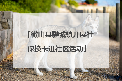 微山县驩城镇开展社保换卡进社区活动