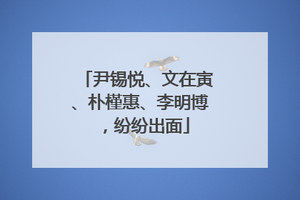 尹锡悦、文在寅、朴槿惠、李明博，纷纷出面