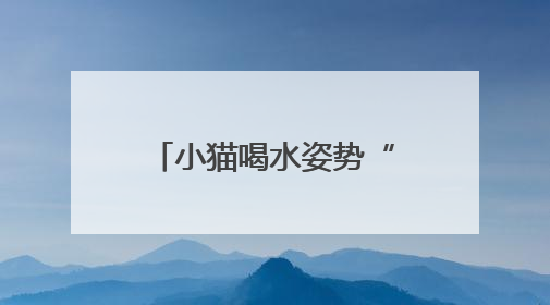 小猫喝水姿势“撞脸”三星堆文物？经求证该文物并非来自三星堆