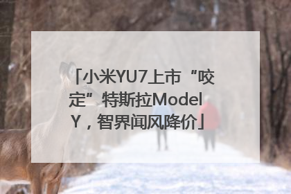 小米YU7上市“咬定”特斯拉Model Y，智界闻风降价