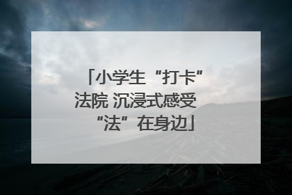 小学生“打卡”法院 沉浸式感受“法”在身边