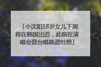 小沈阳18岁女儿下周将在韩国出道，此前在演唱会登台唱跳遭吐槽
