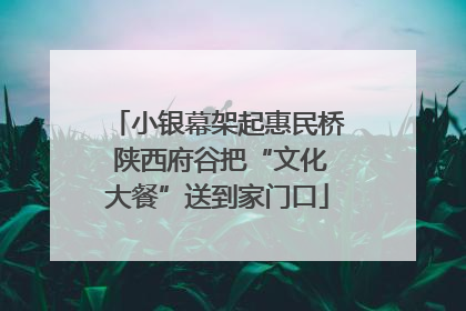 小银幕架起惠民桥 陕西府谷把“文化大餐”送到家门口