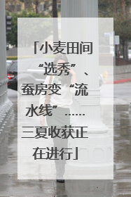 小麦田间“选秀”、蚕房变“流水线”……三夏收获正在进行