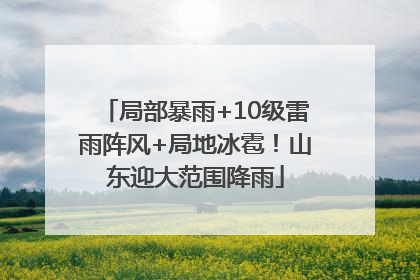 局部暴雨+10级雷雨阵风+局地冰雹！山东迎大范围降雨