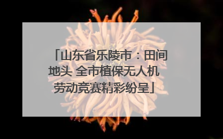 山东省乐陵市：田间地头 全市植保无人机劳动竞赛精彩纷呈