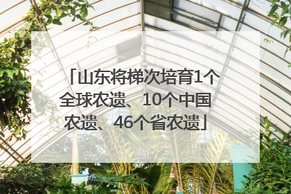 山东将梯次培育1个全球农遗、10个中国农遗、46个省农遗