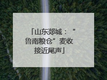 山东郯城：“鲁南粮仓”麦收接近尾声
