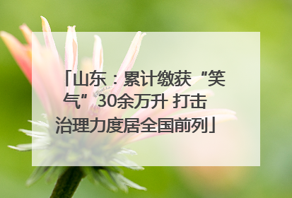 山东：累计缴获“笑气”30余万升 打击治理力度居全国前列