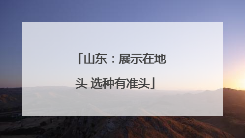山东：展示在地头 选种有准头