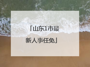 山东1市最新人事任免