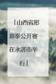 山西省形意拳公开赛在永济市举行