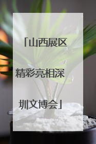 山西展区精彩亮相深圳文博会
