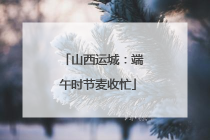 山西运城：端午时节麦收忙
