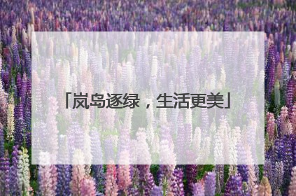岚岛逐绿，生活更美