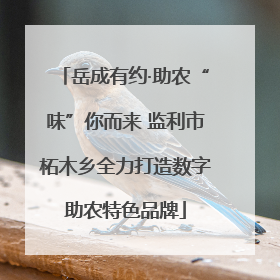 岳成有约·助农“味”你而来 监利市柘木乡全力打造数字助农特色品牌