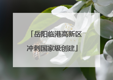 岳阳临港高新区冲刺国家级创建