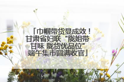 巾帼带货显成效！甘肃省妇联“陇姐带甘味 陇货优品位”端午集市圆满收官