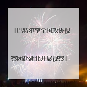 巴特尔率全国政协视察团赴湖北开展视察